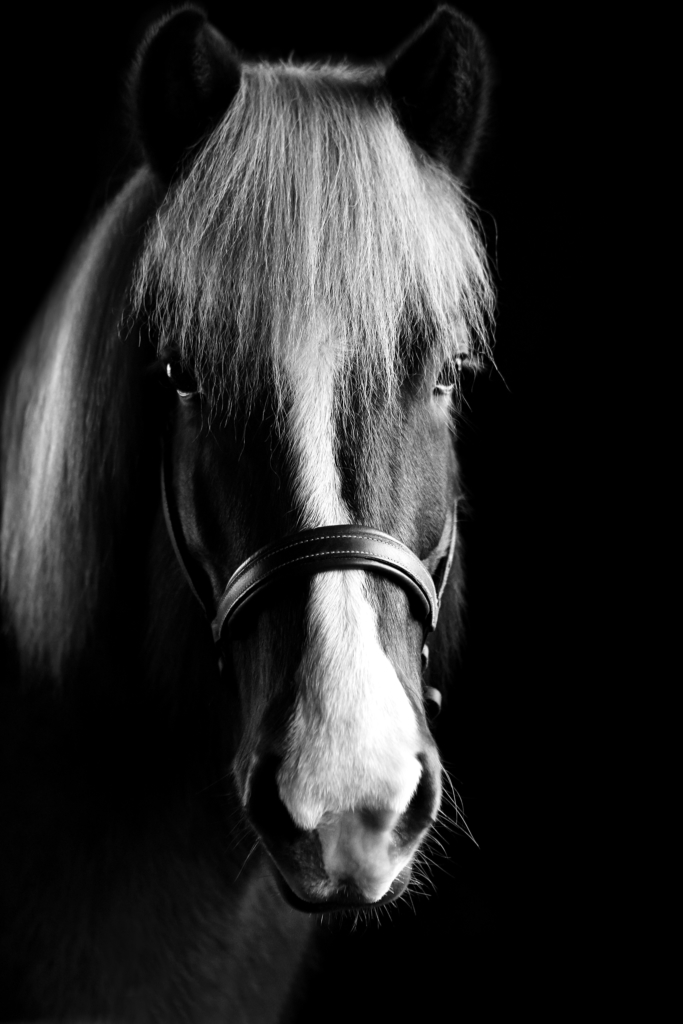 Djörfung_01_Azzeria_Photography_2017